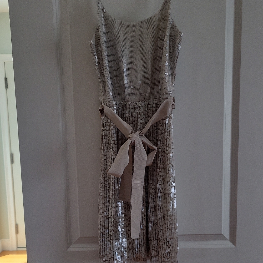 Express Silver Sequin Mini Dress